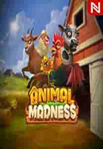 Animal Madness