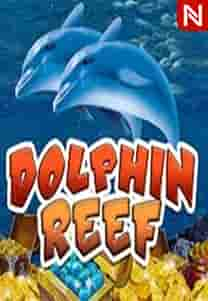 Dolphin Reef